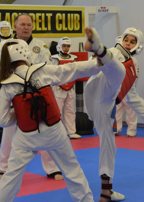 TaekwondoTanai